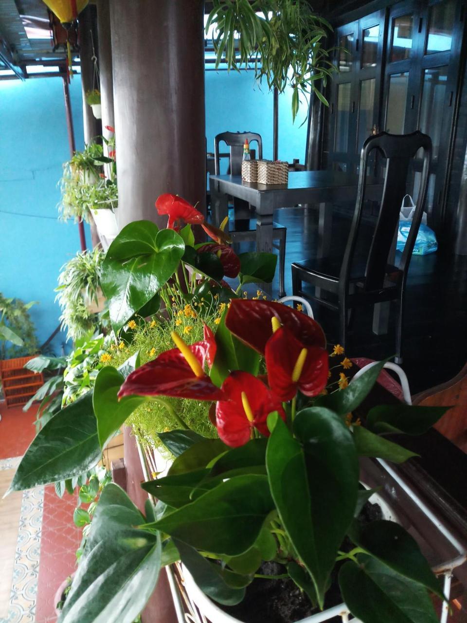 An Bang Stilt House Villa Hội An Kültér fotó